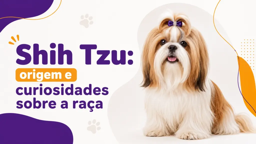 curiosidades sobre Shih Tzu