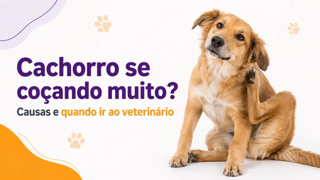 Cachorro se coçando muito